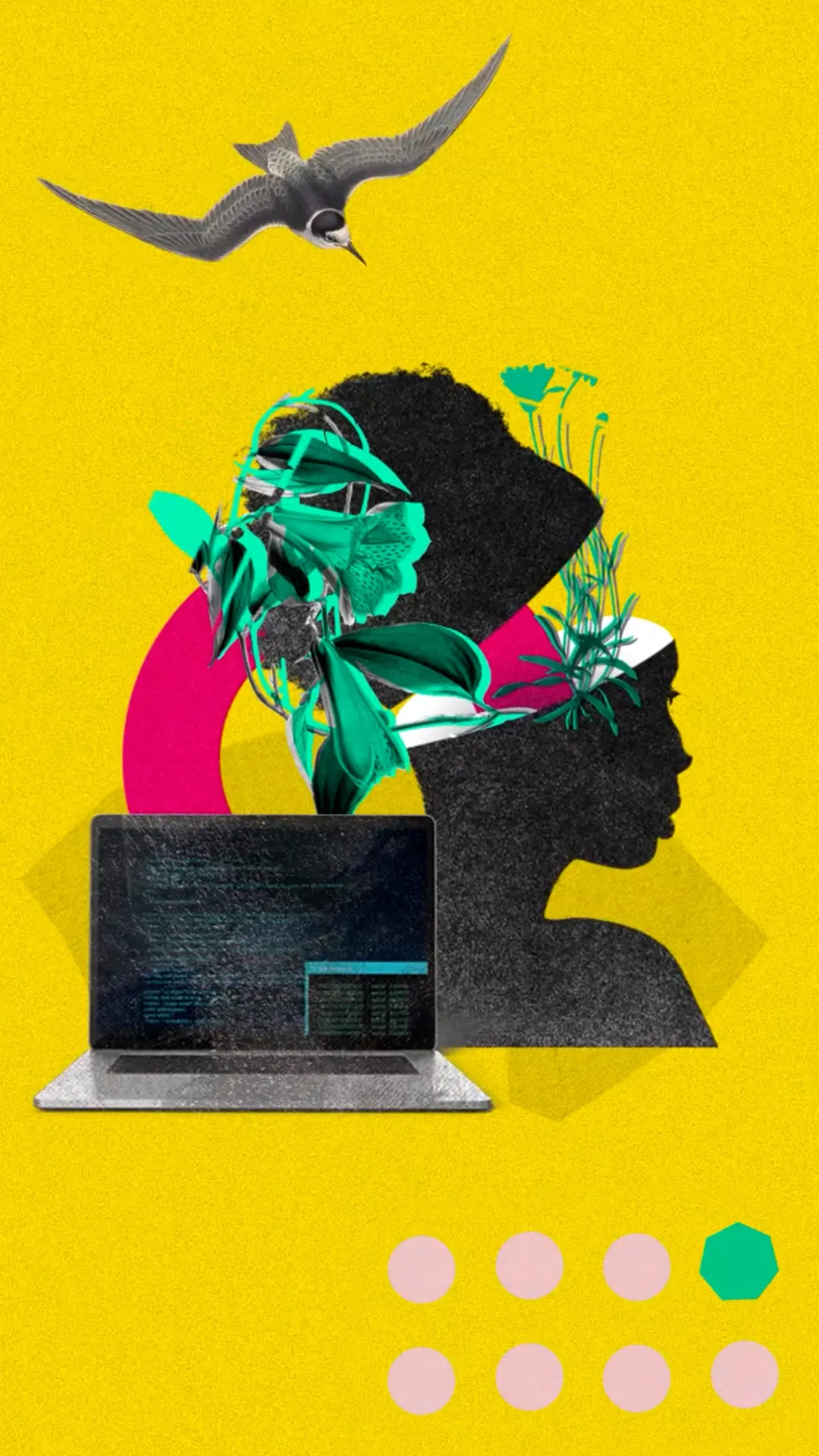 Anim 2D Mograph